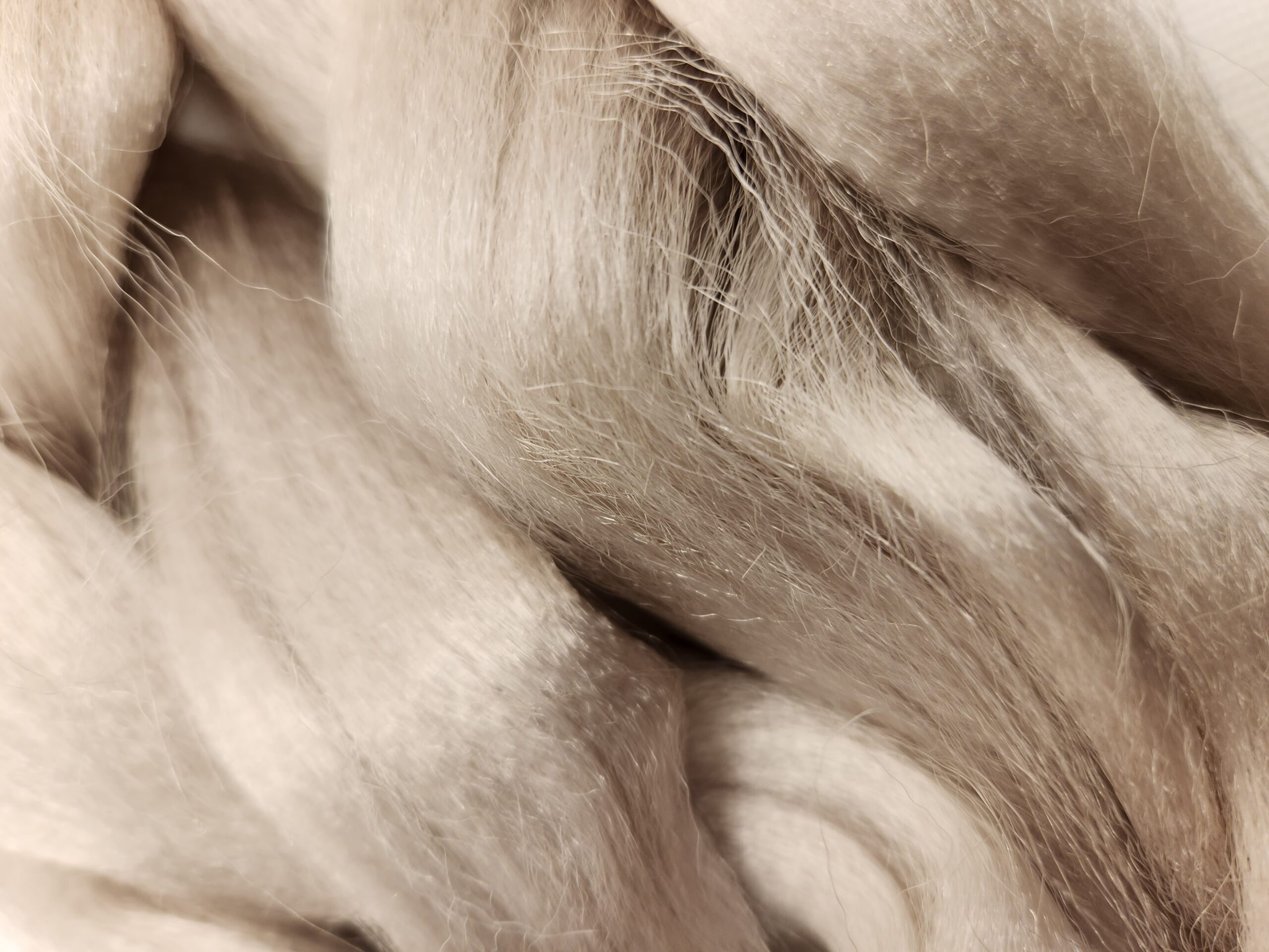 Xpression – Ultra Braid